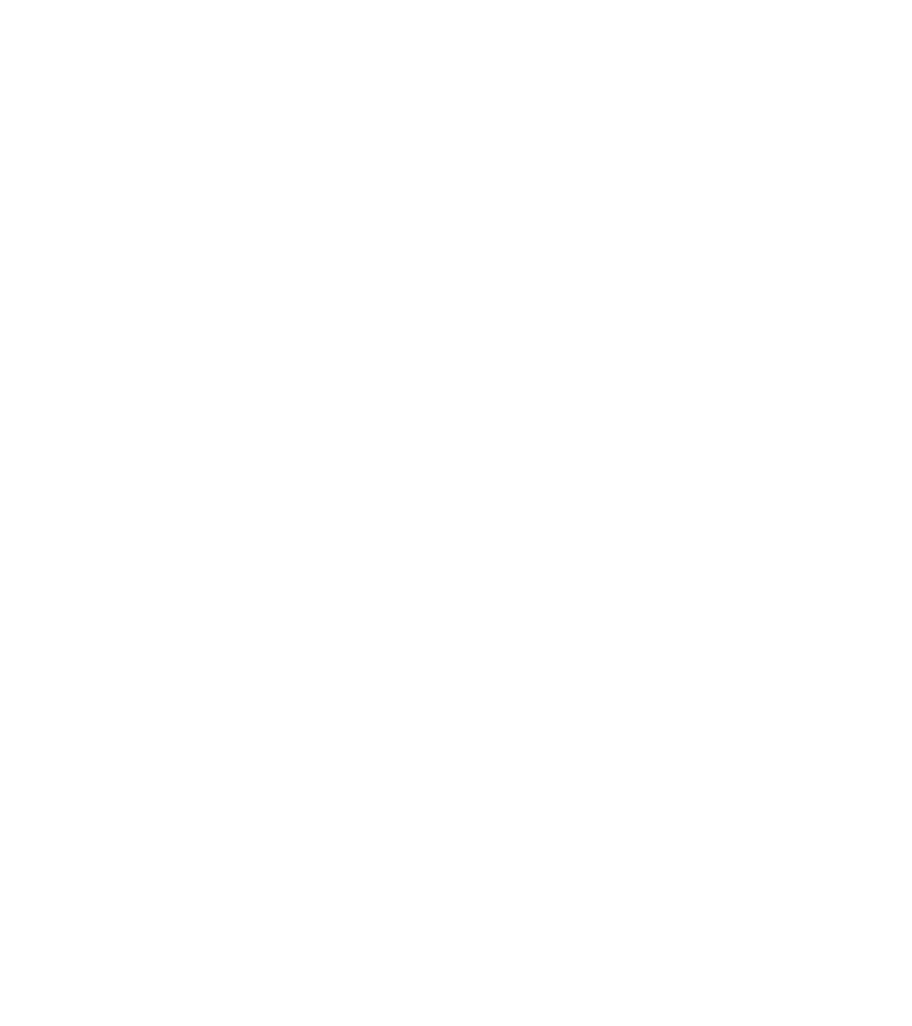 Feniks Bielsko-Biała